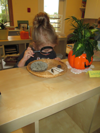 Private Preschool in Crystal Lake, Cary, Lake in the Hills, Algonquin